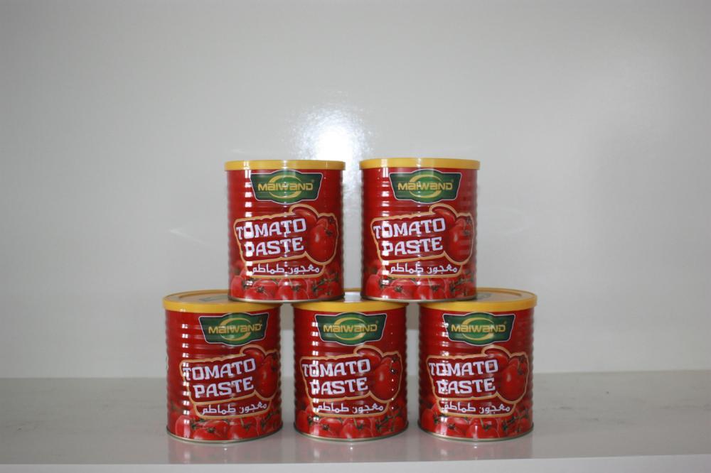 Pasta de tomate 140gx50 - Tapa fácil de abrir - tomatopaste1-27